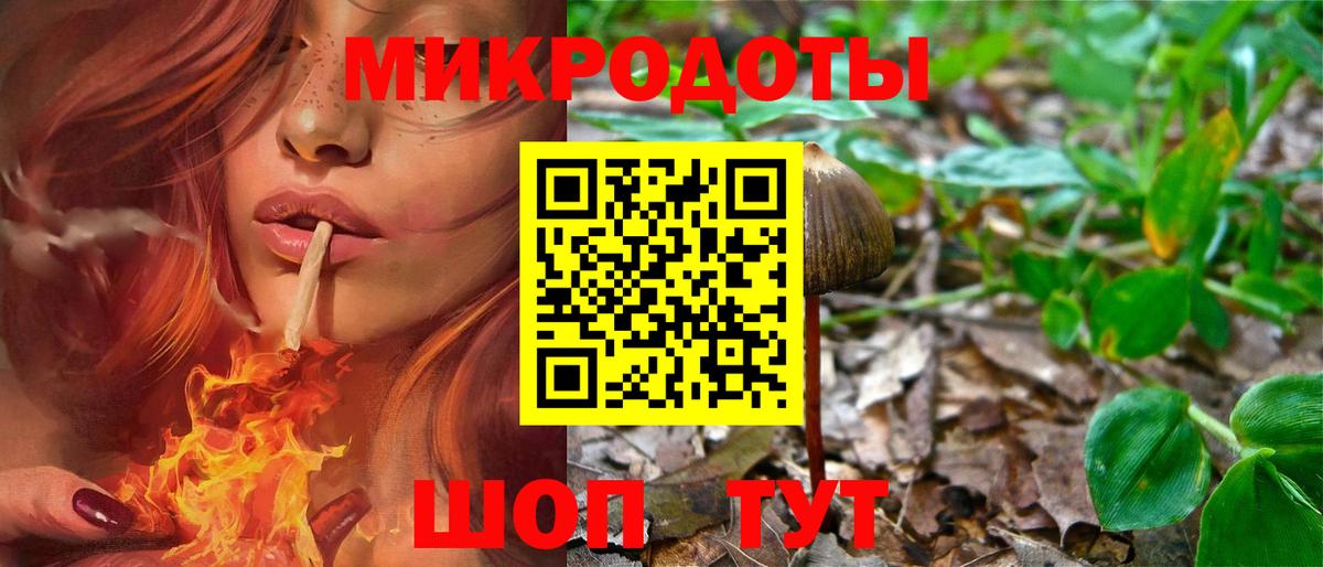 Галлюциногенные грибы GOLDEN TEACHER  Вход с VPN  Псилоцибиновые грибы Psilocybine cubensis  Ахтубинск 
